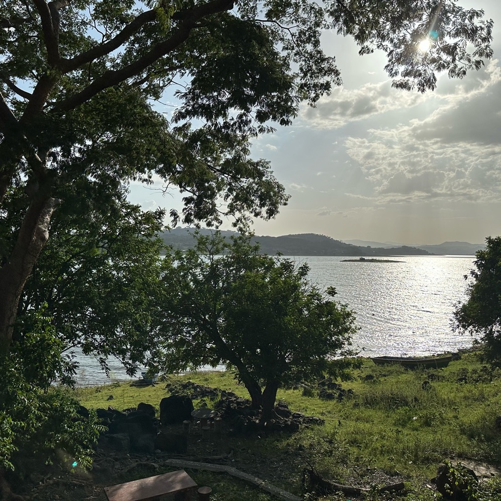 Meet your Posher, Marjori